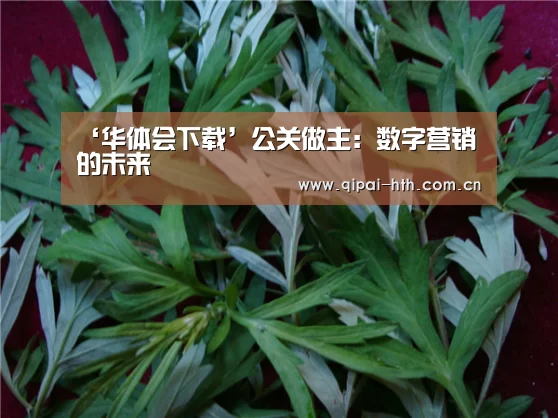 华体会下载